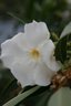 gal/cro 08/_thb_small-IMG_5374.JPG